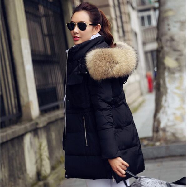 ladies winter jackets online