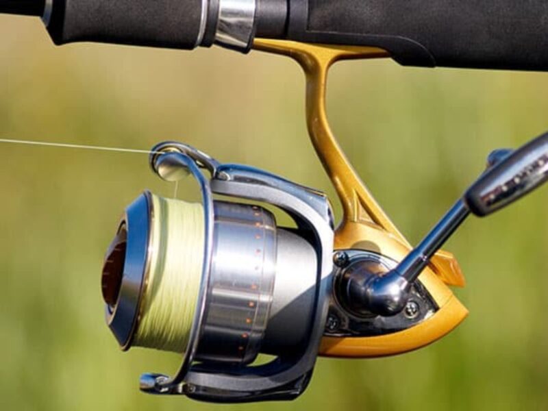 What To Look For In The Ideal Fishing Reel