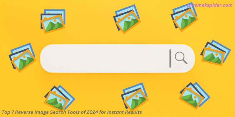 Top 7 Reverse Image Search Tools of 2024 for Instant Results