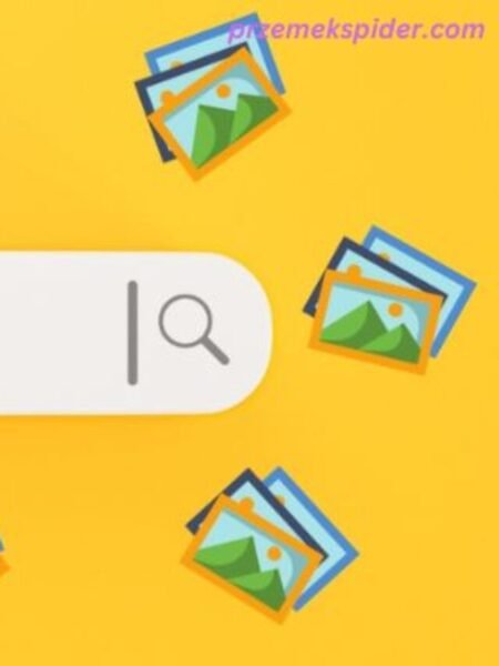 Top 7 Reverse Image Search Tools of 2024 for Instant Results